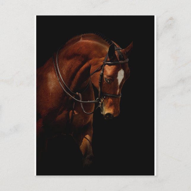 Die Schönheit Postkarte (Vorderseite)