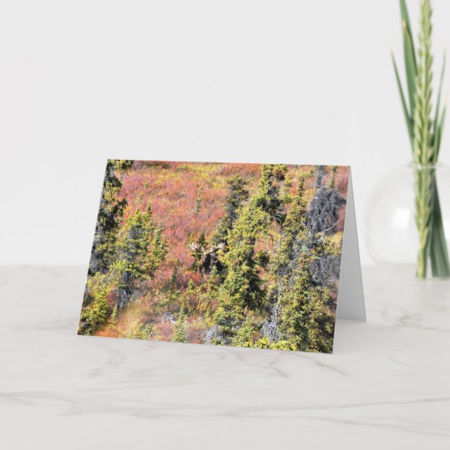 Die Schönheit von Chisana Karte (Vorderseite)