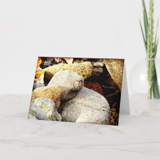 Die Schönheit von Chisana Karte