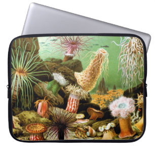 Die Schönheit von Meer (durch Ernst Haeckel) Laptopschutzhülle