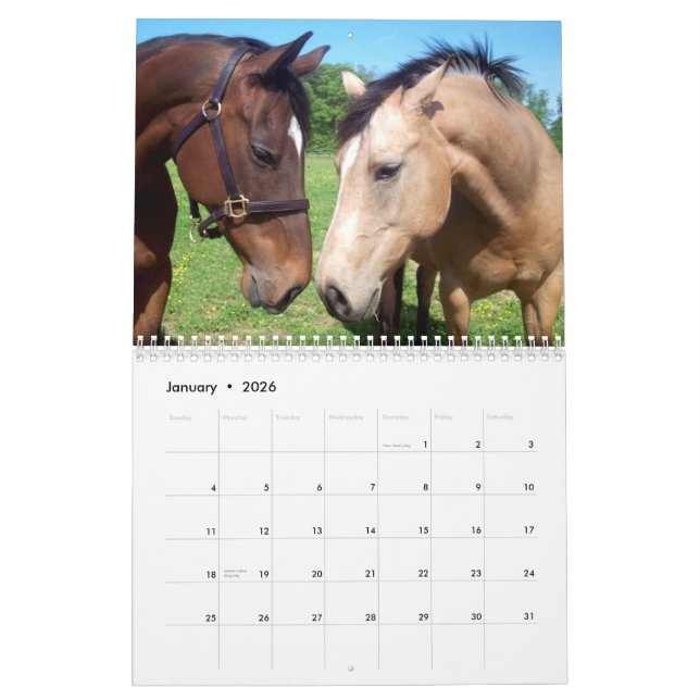 Die Schönheit von Pferden 2011 drehen um Kalender (Jan 2026)