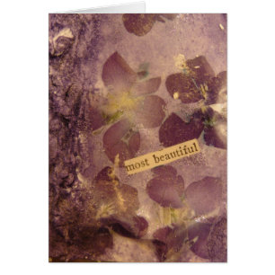 Die schönsten Blume