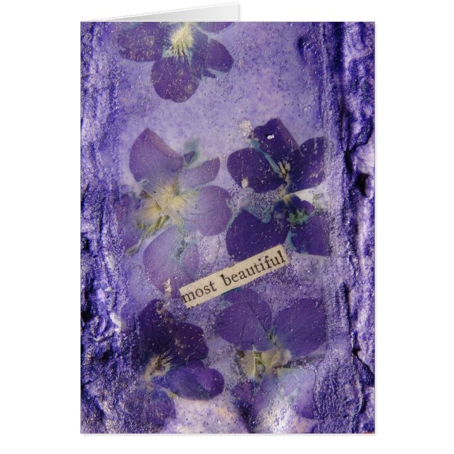 Die schönsten Lila Violetten (Vorne)