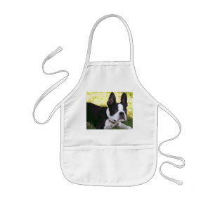 Die Schürze der Boston-Terrier-Welpen-Kinder