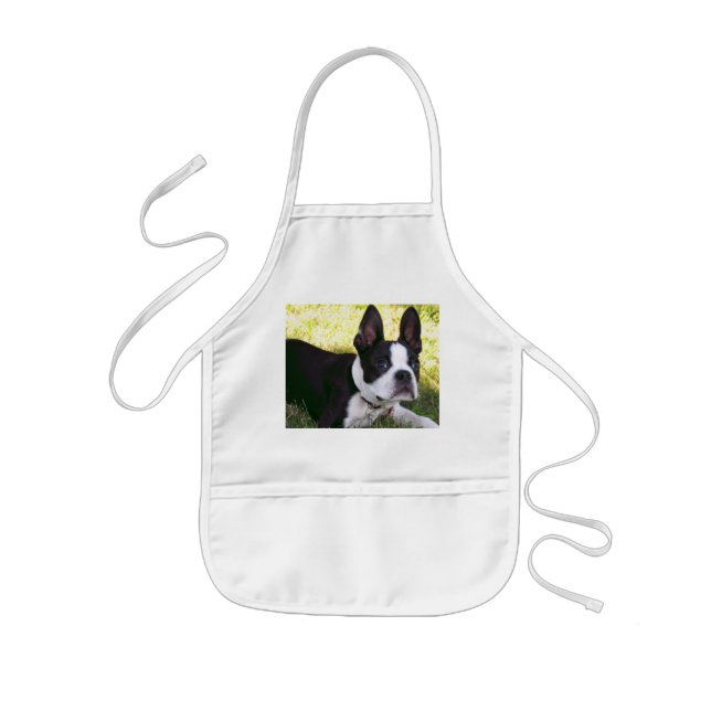 Die Schürze der Boston-Terrier-Welpen-Kinder (Vorne)