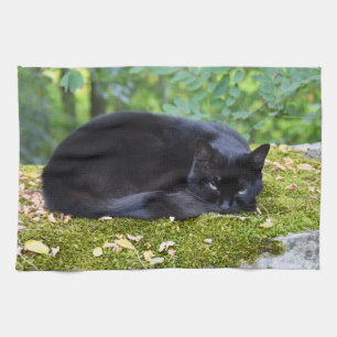 Die schwarze Katze ist schmutzig Geschirrtuch