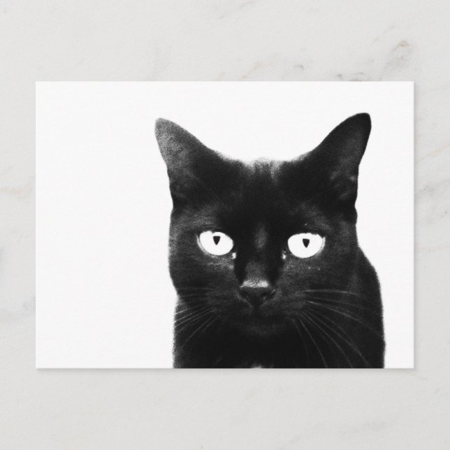 Die schwarze Katze Postkarte (Vorderseite)