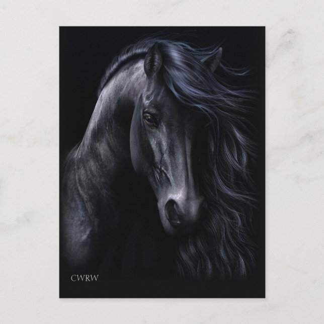 Die schwarze Postkarte (Vorderseite)