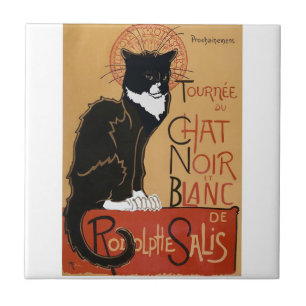 Die schwarze und weiße Katze Fliese
