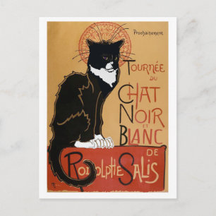 Die schwarze und weiße Katze Postkarte