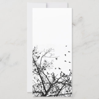 die schwarzen Vögel