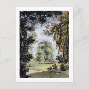 Die Schwesternbäume, Kew Gardens, Teller 8 von "Ke Postkarte