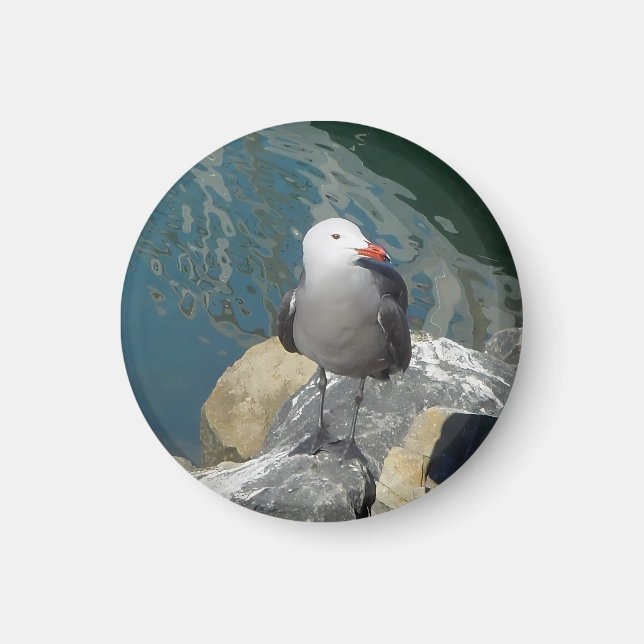 Die Seagull Larry Day Ken Gage Bird Fotografie Magnet (Vorne)
