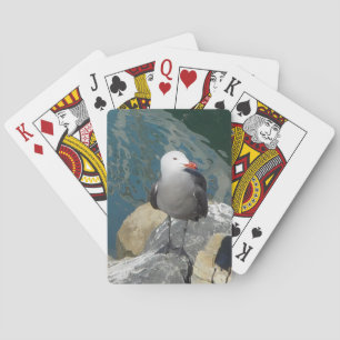 Die Seagull Larry Day Ken Gage Bird Fotografie Spielkarten