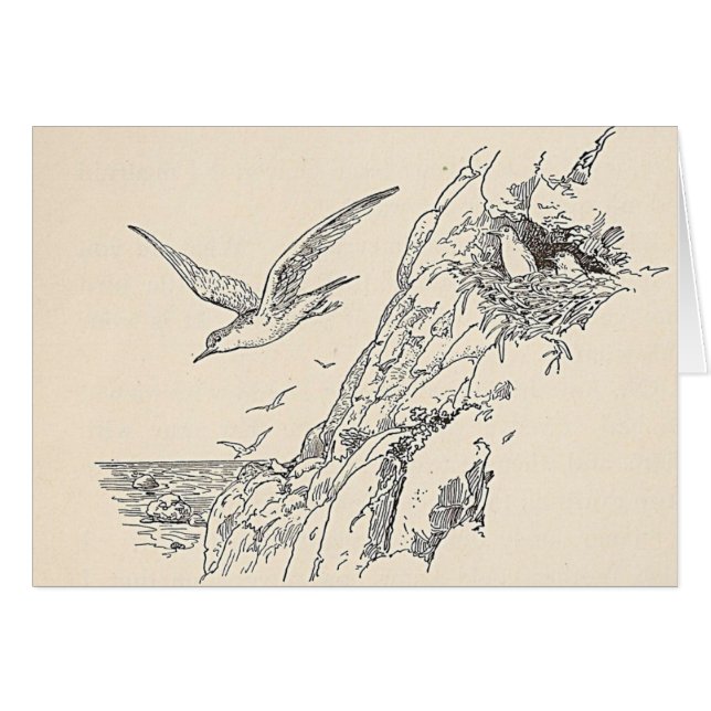 Die Seegüter (Vorderseite (Horizontal))