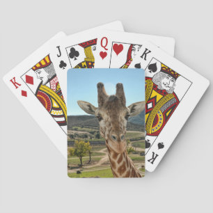 Die seltsame Giraffe, die Karten spielt Spielkarten