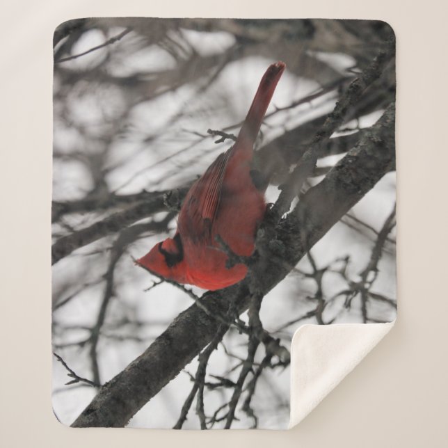 Die Sherpadecke (Vorderseite)