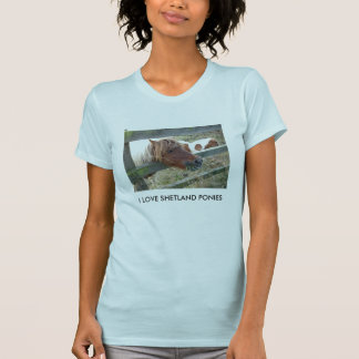 Die Shetlandinseln-Pony-Damen-Petite T - Shirt