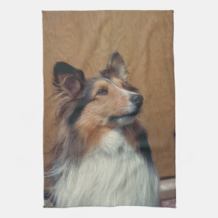Die Shetlandinseln-Schäferhund-Amerikaner MoJo Handtuch