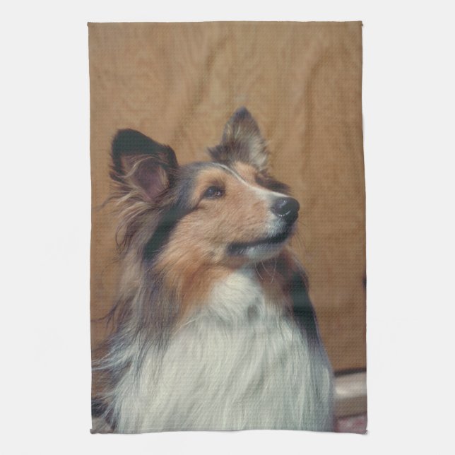 Die Shetlandinseln-Schäferhund-Amerikaner MoJo Handtuch (Vertikal)