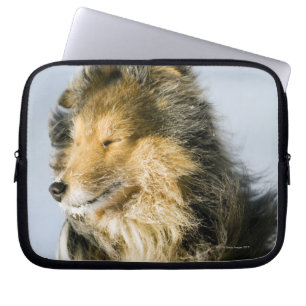 Die Shetlandinseln-Schäferhund Laptopschutzhülle
