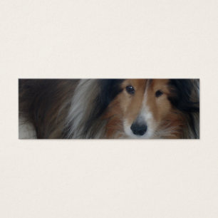 Die Shetlandinseln-Schäferhund-Lesezeichen