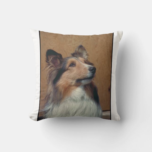 Die Shetlandinseln-Schäferhund MoJo Kissen (Vorderseite)
