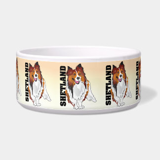 Die Shetlandinseln-Schäferhund schrotet Schüssel