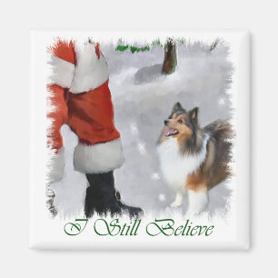 Die Shetlandinseln-Schäferhund Sheltie Magnet