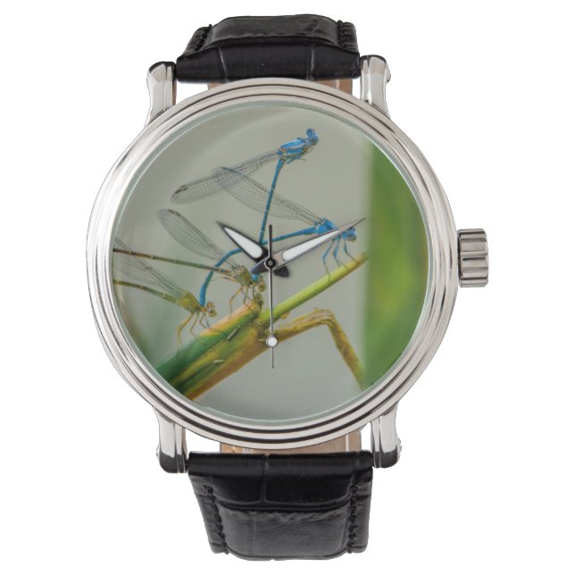 Die sich durch das Wasser sozialisierenden Damself Armbanduhr (Vorderseite)