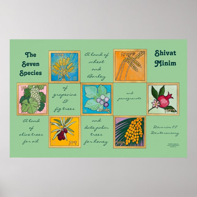 Die sieben Arten oder der Shivat Minim Poster (Vorne)