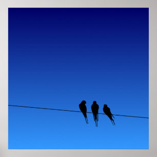 Die Silhouette der blühenden Schwarzvögel auf Wire Poster