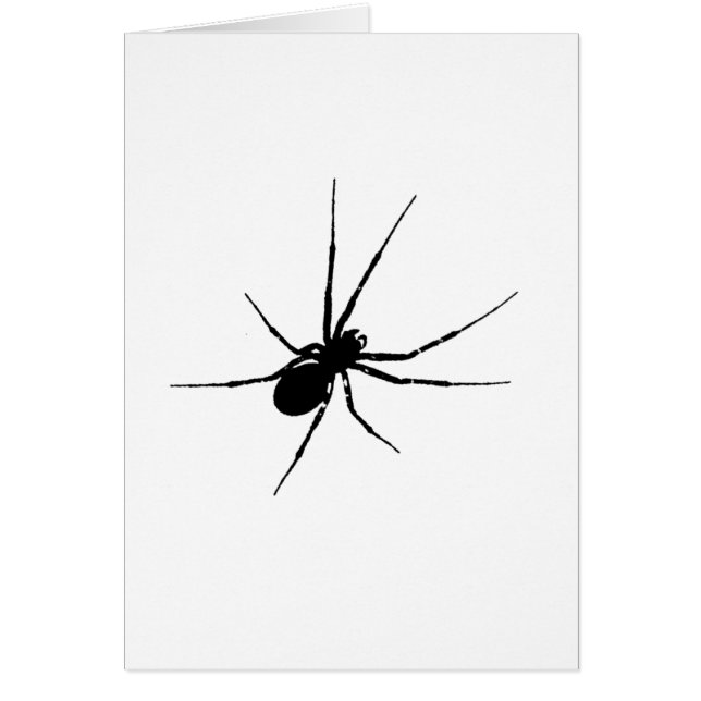 Die Silhouette der Spinne (Vorne)