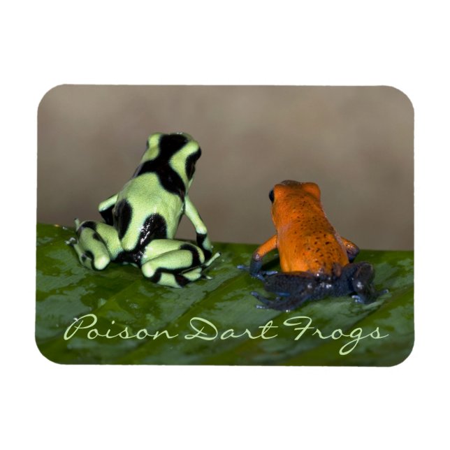 Die Situation Magnet (Horizontal)