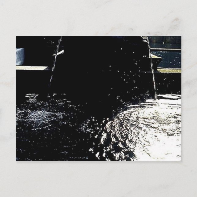 DIE SKALEN POSTKARTE (Vorderseite)