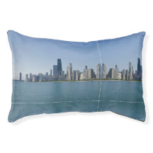 Die Skyline von Chicago mit dem Muster Mirrored