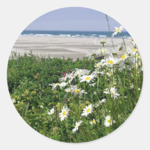 "Die Sommerpause im Ozean" Runder Aufkleber