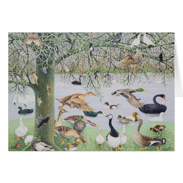 Die sonderbare Ente (Vorderseite (Horizontal))