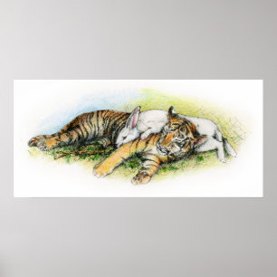 DIE SONDERBAREN PAARE POSTER