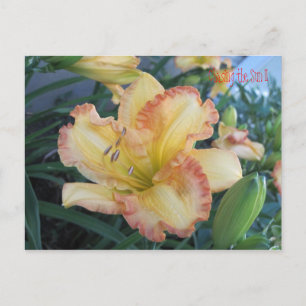 Die Sonne II zu verfolgen, die Sonne II zu verfolg Postkarte