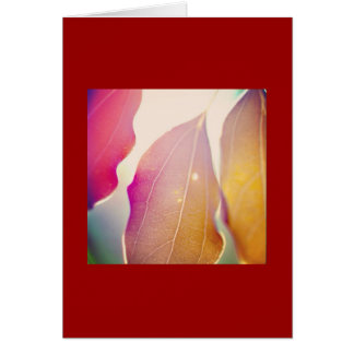 Die Sonne leuchtet durch die Blätter