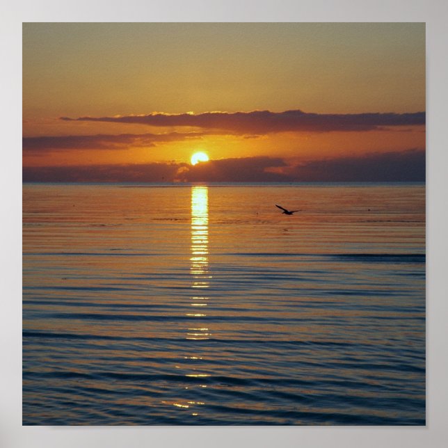 Die Sonne wird aufgehen Poster (Vorne)