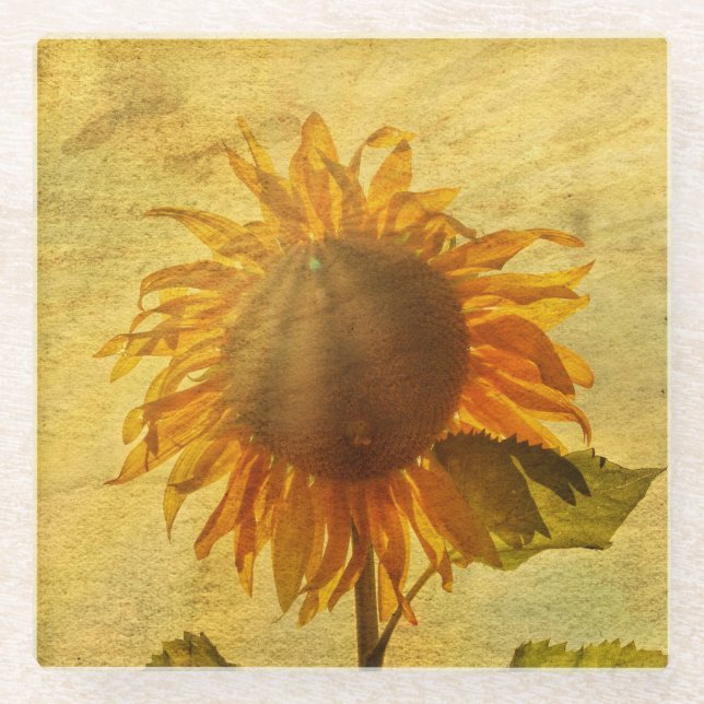 Die Sonnenblume Glasuntersetzer (Vorderseite)
