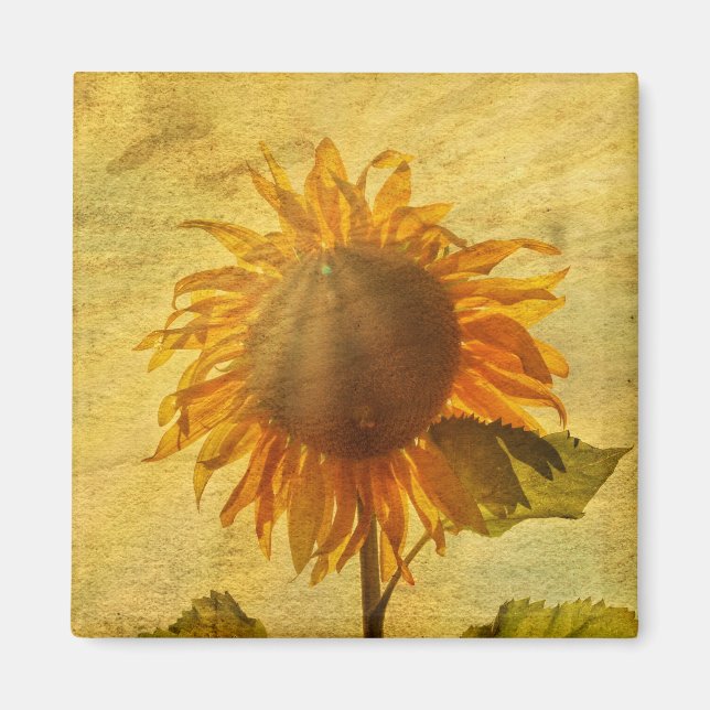 Die Sonnenblume Magnet (Vorne)