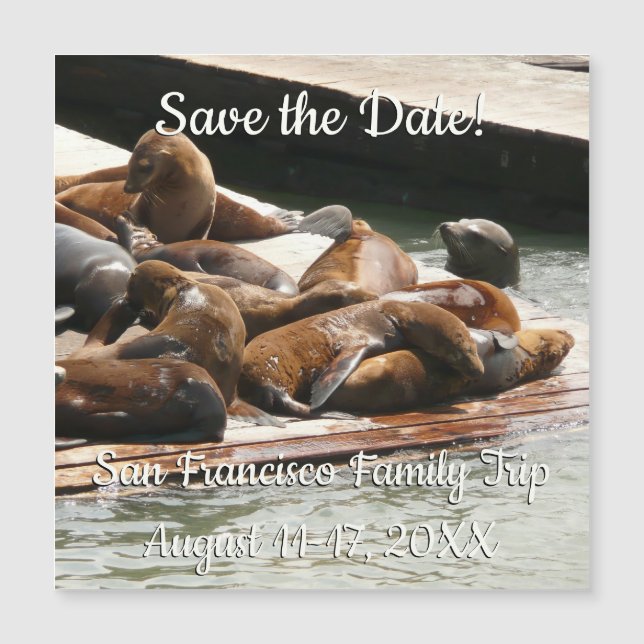 Die Sonnenliege in San Francisco Save the Date Magnetkarte (Vorderseite)