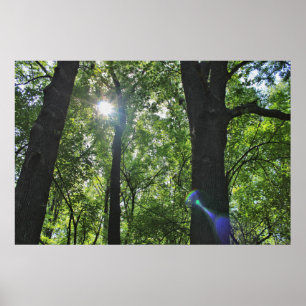 Die Sonnenscheinblase Poster