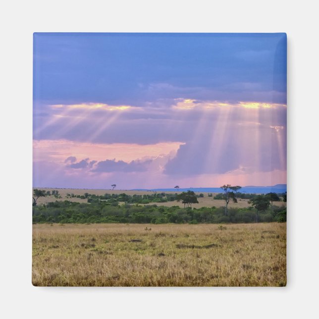 Die Sonnenstrahlen am Masai Mara. Magnet (Vorne)