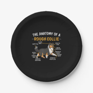 Die sonnige Anatomie einer rauen Collie für Hundef Pappteller