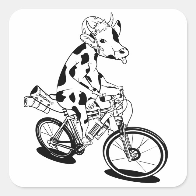 Die sonnige Kuh reitet mit dem Rad Quadratischer Aufkleber (Vorderseite)