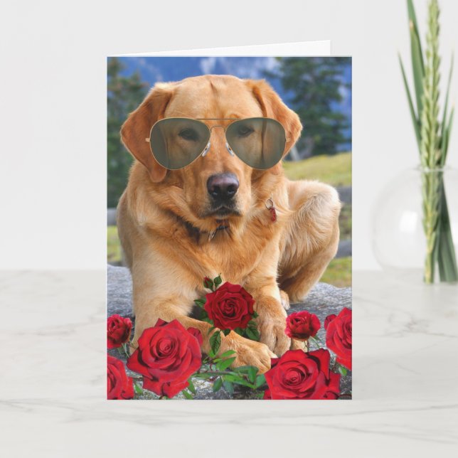 Die sonnigen Rose sind Red Gedicht Golden Labrador Karte (Vorderseite)